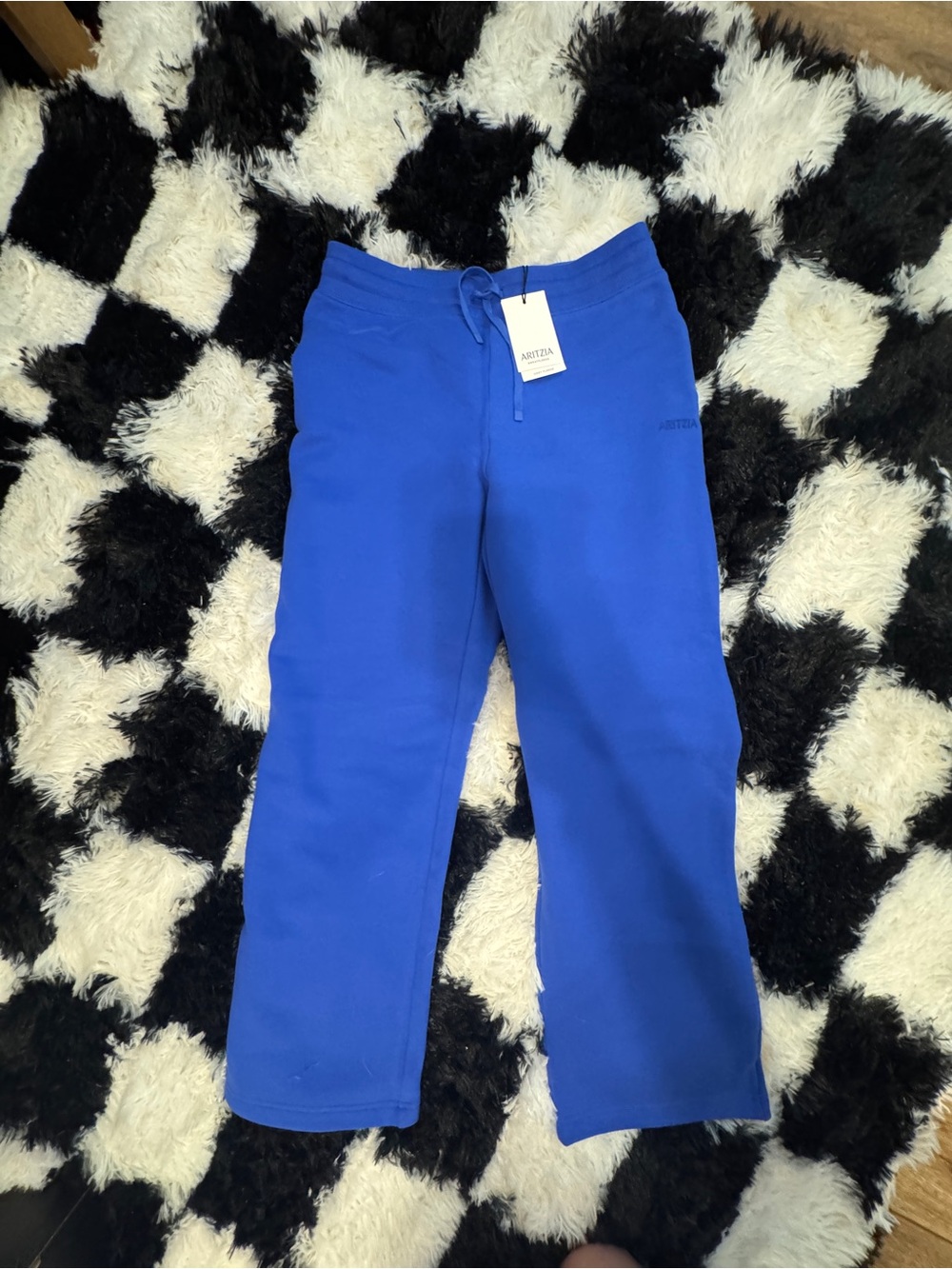 Aritzia Women’s Blue Jazz SweatFleece with Drawstring